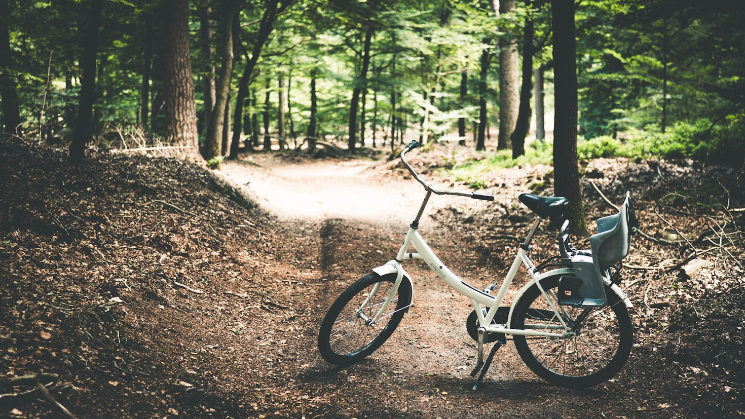 The Joy of Inclusive Off-Road Cycling